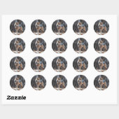 Sticker  (Vel)