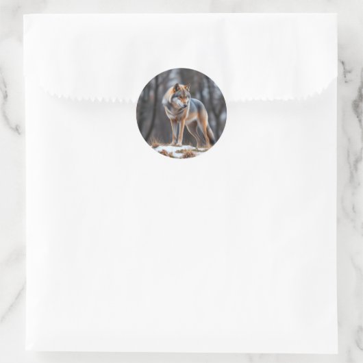 Sticker  (Tas)