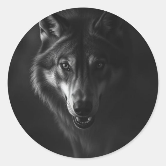 Sticker  (Voorkant)