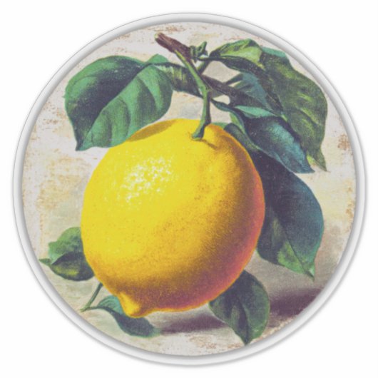 Sticker (Voorkant)