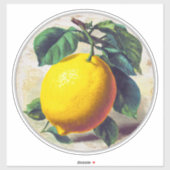 Sticker (Vel)