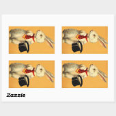 Sticker  Anthro Magic Pet Trick Konijnenhaas (Vel)