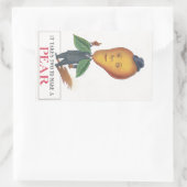 Sticker Antiek Antrhopomorf Fruit Peer Man Pun (Tas)