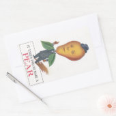 Sticker Antiek Antrhopomorf Fruit Peer Man Pun (Envelop)