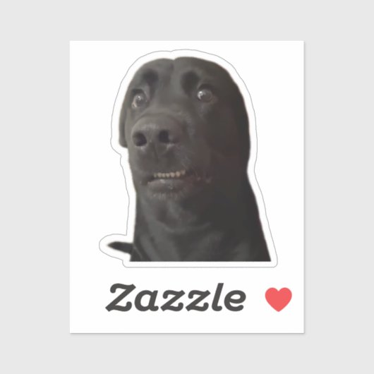 Sticker Bang Hond Meme (Vel)