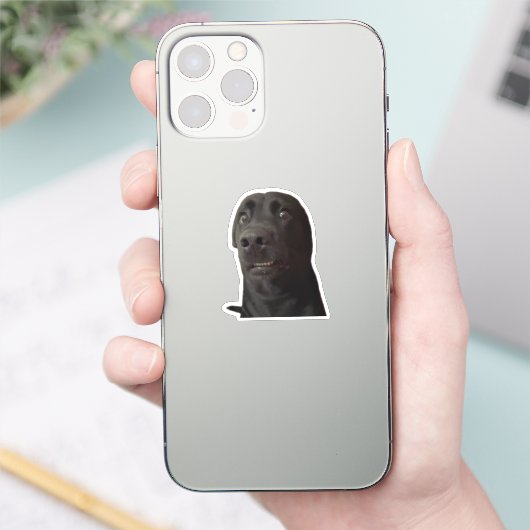 Sticker Bang Hond Meme (Telefoon)