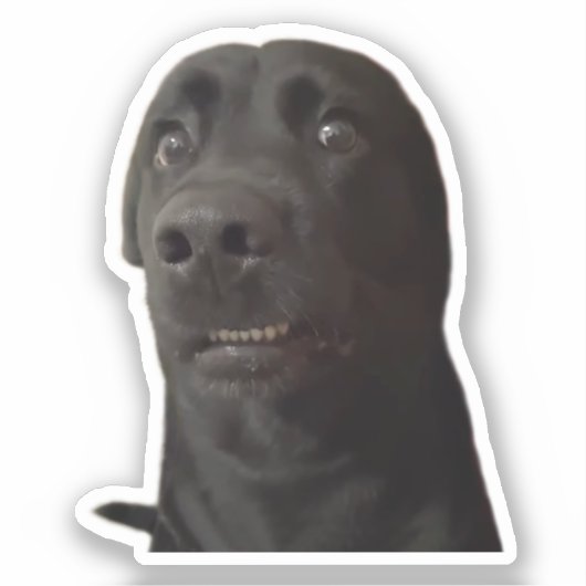 Sticker Bang Hond Meme (Voorkant)
