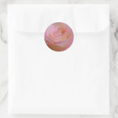 Sticker Beauful Pink Rose (Tas)