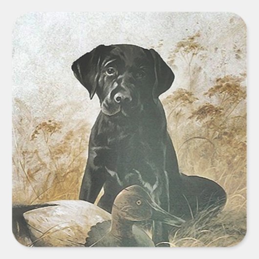 STICKER Black Lab labradors retrievers hoogland ho (Voorkant)