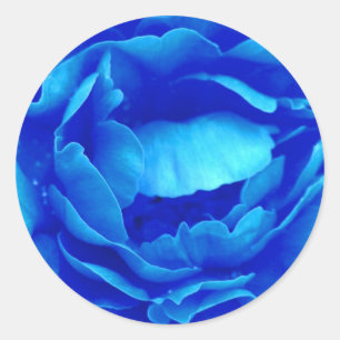 Sticker blauw Roos -