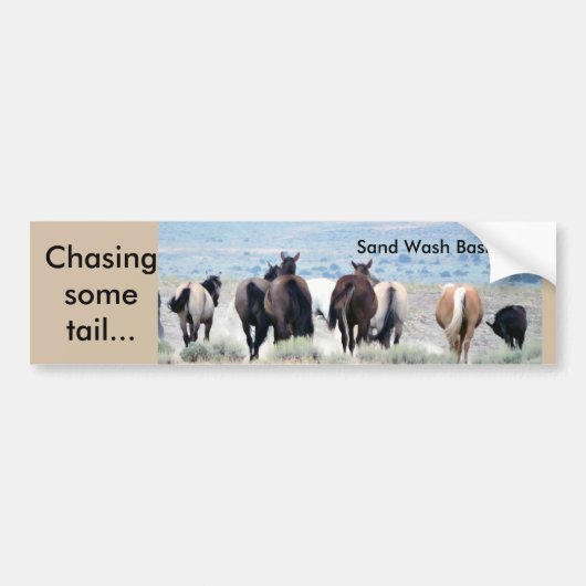 Sticker bumper voor jagen op staart (Voorkant)
