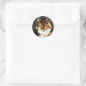 Sticker-Calico Kitten Ronde Sticker (Tas)