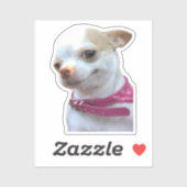 Sticker  Chihuahua Dog Meme (Vel)