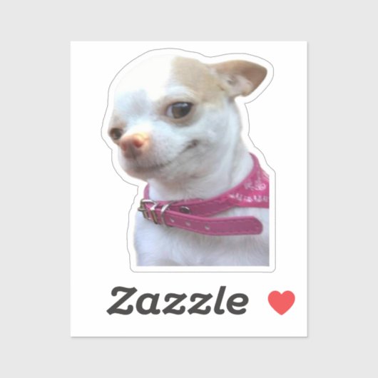 Sticker  Chihuahua Dog Meme (Vel)