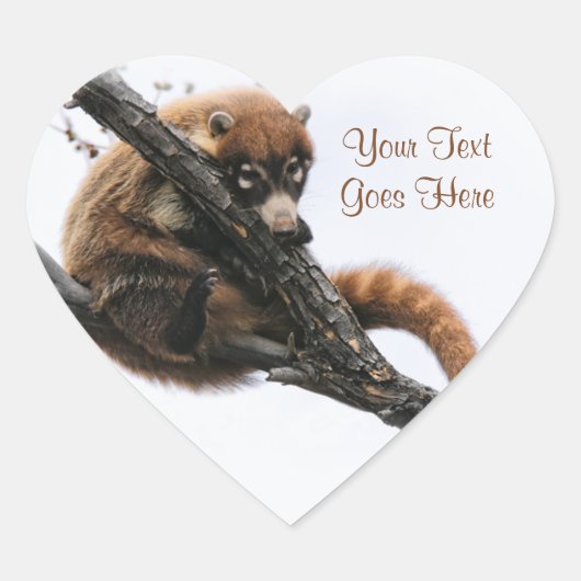 Sticker: Coatimundi #5 (Hart) Hart Sticker (Voorkant)