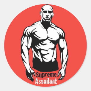 STICKER DECALS VOOR UW VOERTUIG