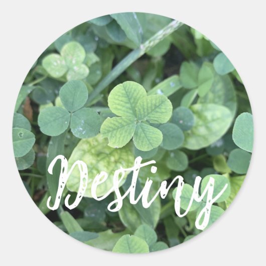 Sticker Destiny (Voorkant)