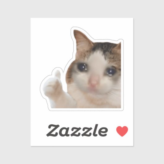 Sticker duimen omhoog OK Cat meme (Vel)