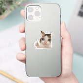 Sticker duimen omhoog OK Cat meme (Telefoon)