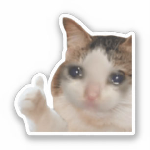 Sticker duimen omhoog OK Cat meme