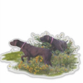 Sticker Duitse Shorthaired Pointers (Voorkant)