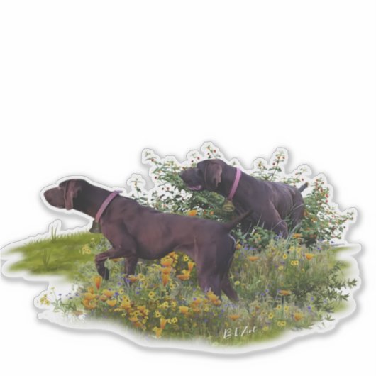 Sticker Duitse Shorthaired Pointers (Voorkant)