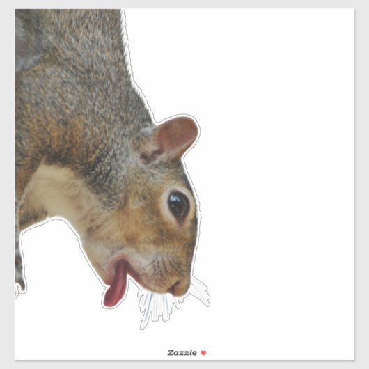 Sticker eekhoorn (Vel)