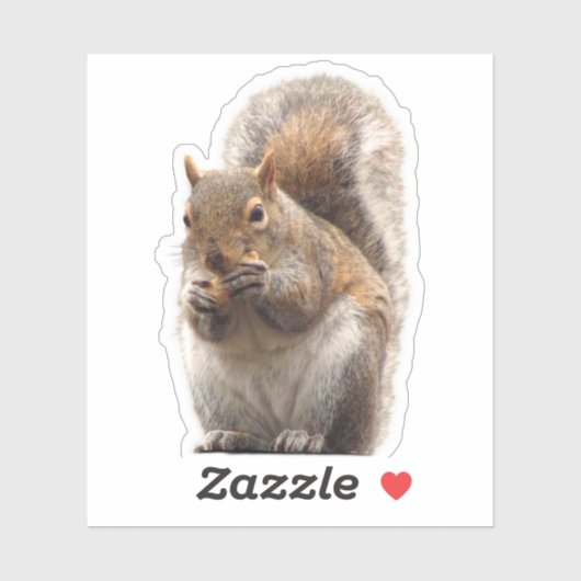 Sticker eekhoorn (Vel)