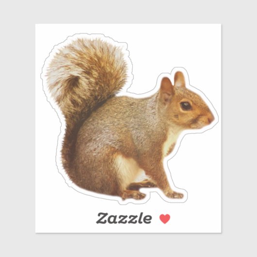 Sticker eekhoorn (Vel)