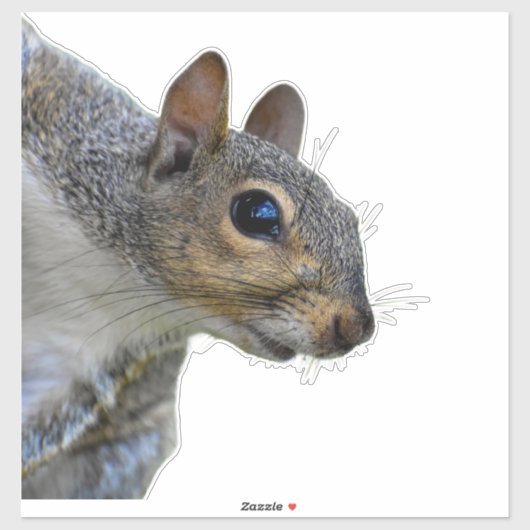 Sticker eekhoorn (Vel)