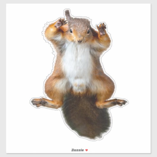 Sticker eekhoorn (Vel)