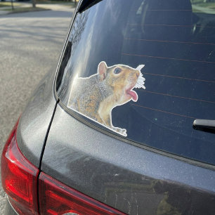 Sticker eekhoorn