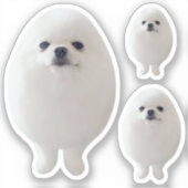 Sticker Egg Dog Meme (Voorkant)