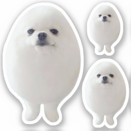 Sticker Egg Dog Meme (Voorkant)