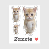 Sticker El Gato Cat Meme 3 Pack (Vel)