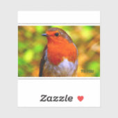 Sticker Envelope verzegelt Robins bericht (Vel)