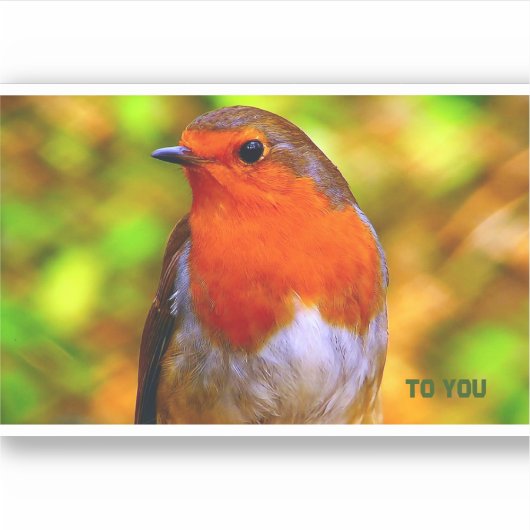 Sticker Envelope verzegelt Robins bericht (Voorkant)