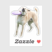 Sticker Frisbee Dog Meme (Vel)