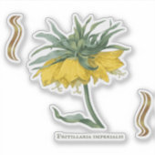 Sticker Fritillaria imperialis (Voorkant)