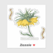 Sticker Fritillaria imperialis (Vel)