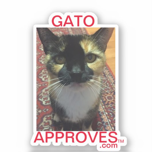 Sticker Gato keurt af, keurt goed (Voorkant)
