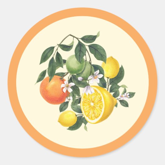 Sticker gemengde citrus (Voorkant)