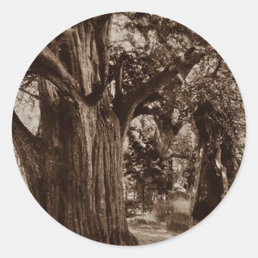 Sticker Genealogie Churchyard Oude taxusboom Stone (Voorkant)