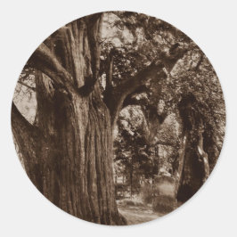 Sticker Genealogie Churchyard Oude taxusboom Stone