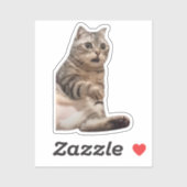 Sticker geschokt door Cat meme (Vel)