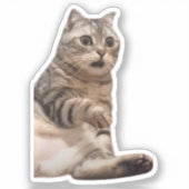 Sticker geschokt door Cat meme (Voorkant)