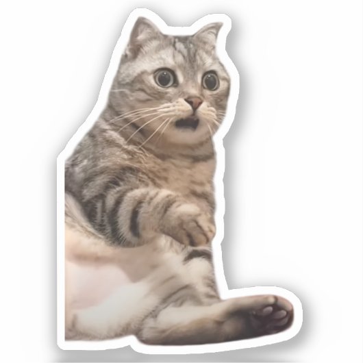Sticker geschokt door Cat meme (Voorkant)