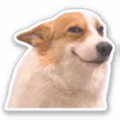 Sticker Glimlachend Corgi Meme (Voorkant)