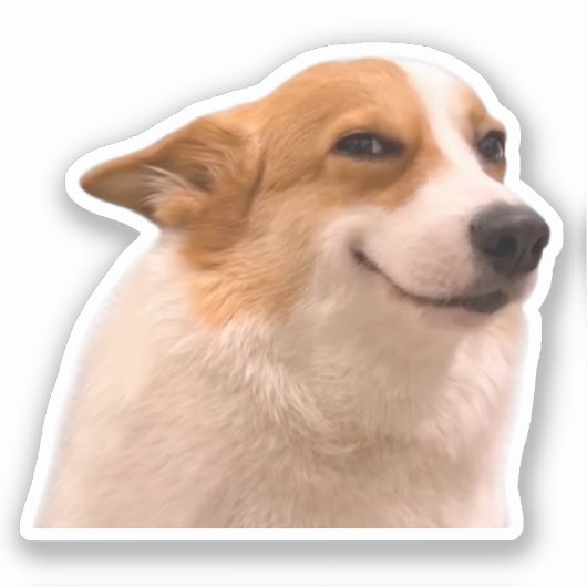 Sticker Glimlachend Corgi Meme (Voorkant)