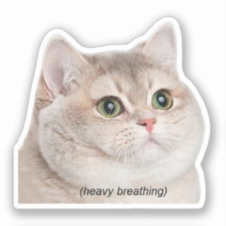 Sticker Heavy Breathing Cat Meme